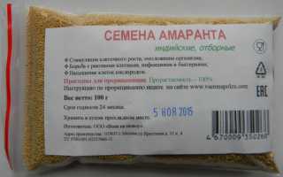 Щирица (амарант) – одна из первых сельскохозяйственных культур, выращиваемая человеком
