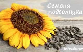 Семечки подсолнуха: польза и вред для женщин и мужчин