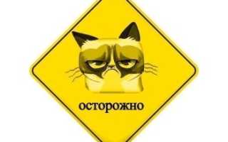 Содержание цинка в продуктах растительного происхождения